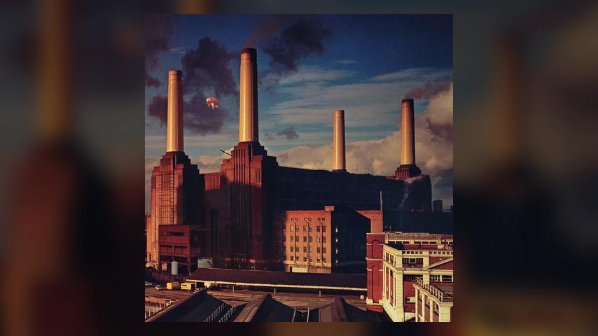Happy (American) Anniversary: Pink Floyd, Animals